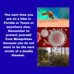 Remember to protect yourself from mosquitos the next time your outside. Don't fall victim to a deadly disease from a mosquito bite.