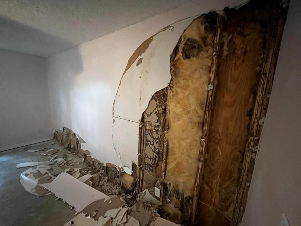 Extensive termite damage behind drywall, much of the wood studs are eaten away.