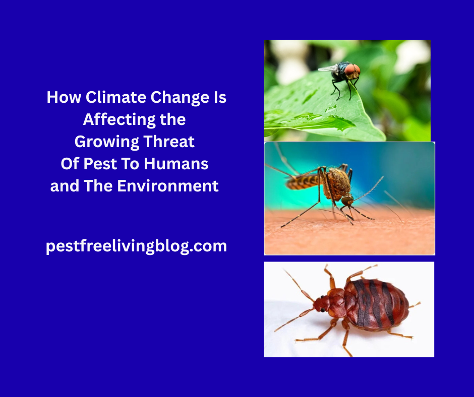 Climate Change Is Making Pests a Growing Threat to Humans and&nbsp;Animals