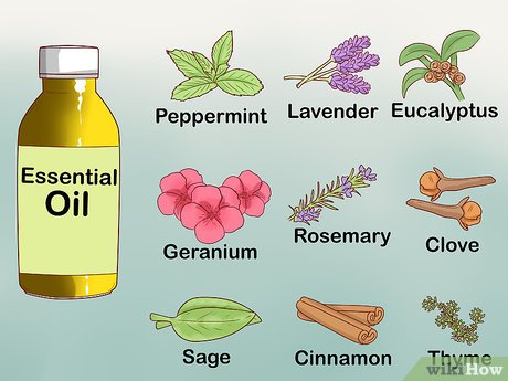 How to Make DIY Mosquito Repellent That Actually Works: 7 Natural Recipes That Beat Store-Bought&nbsp;Sprays